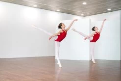 Ballet Leotard - Kids -Fit Zone Shop ballet leotard kids 4