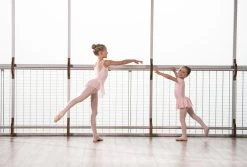 Ballet Skirted Leotard - Girls 17 Ballet Skirted Leotard - Girls -Fit Zone Shop ballet skirted leotard girls 7