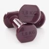 Body Building Dumbbells 1.5 Kg - Burgundy -Fit Zone Shop body building dumbbells 15 kg burgundy