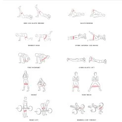 CORENGTH Small Glute Resistance Band 14 Kg 12 CORENGTH Small Glute Resistance Band 14 Kg -Fit Zone Shop small glute resistance band 14 kg 3